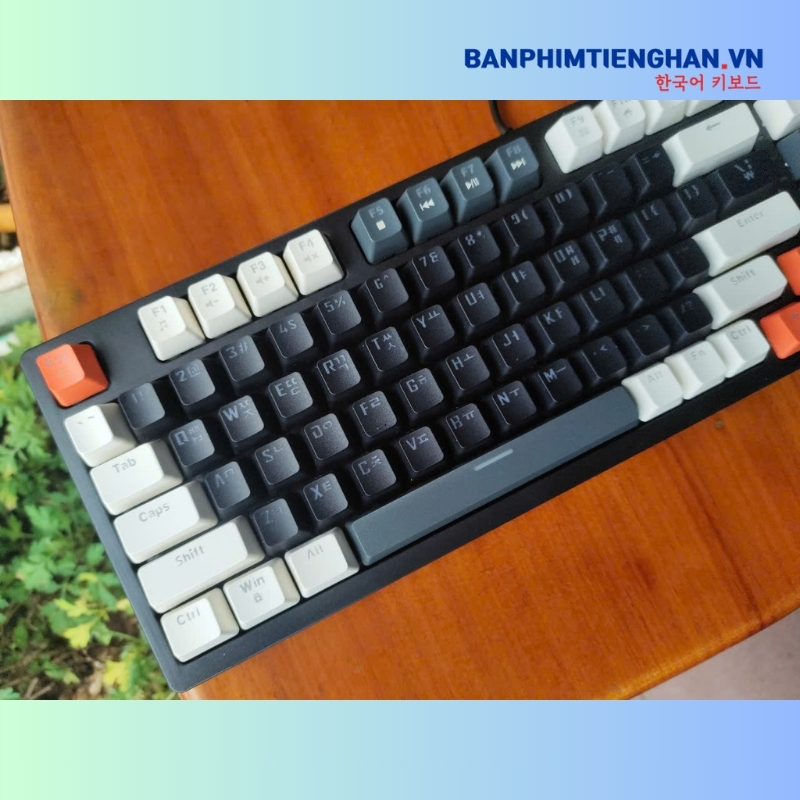 Bàn phím tiếng Hàn có dây TCKB-398