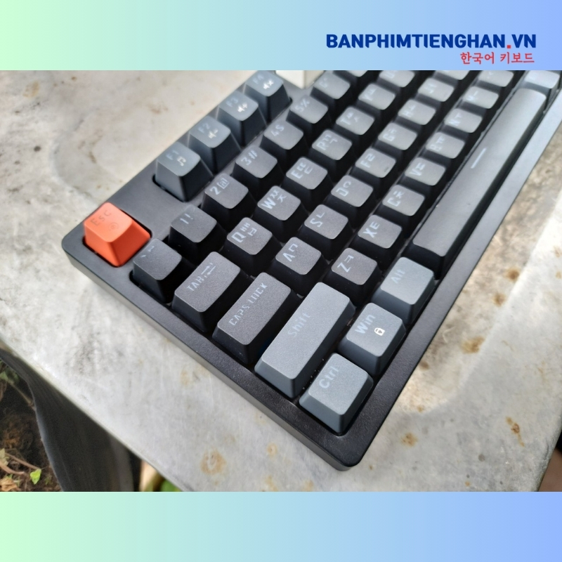 Bàn phím tiếng Hàn có dây TCKB-398