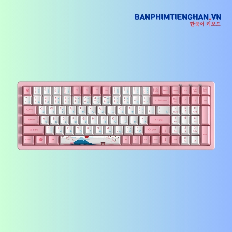 Bàn phím cơ tiếng Nhật có dây 3096 World Tour Tokyo R2