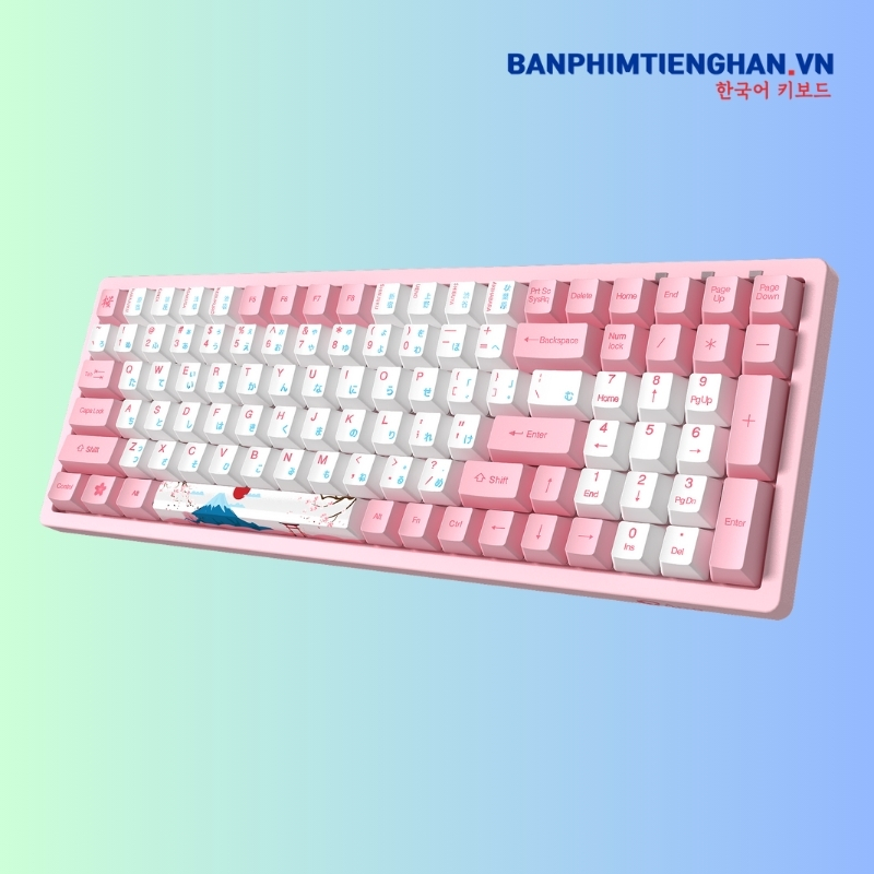 Bàn phím cơ tiếng Nhật có dây 3096 World Tour Tokyo R2