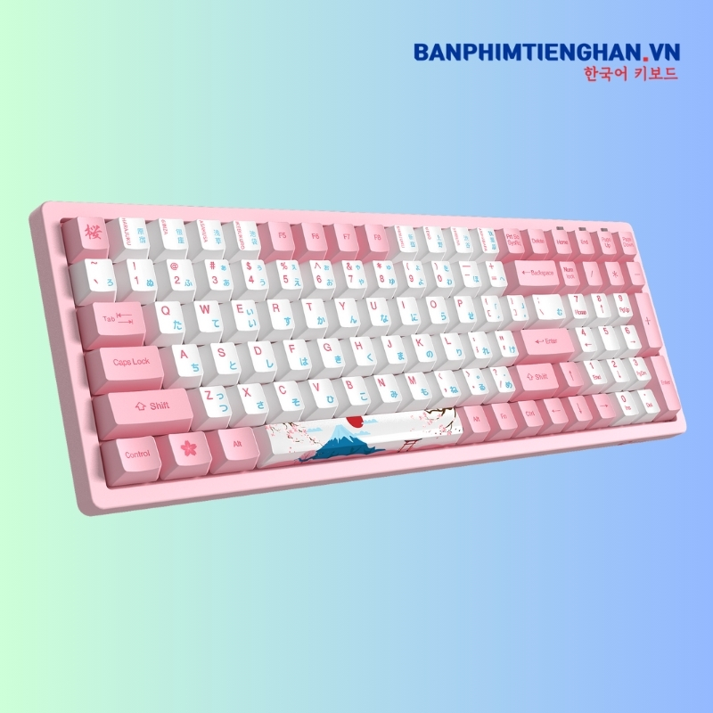 Bàn phím cơ tiếng Nhật có dây 3096 World Tour Tokyo R2