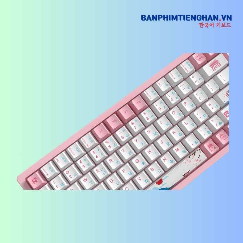 Bàn phím cơ tiếng Nhật có dây 3096 World Tour Tokyo R2