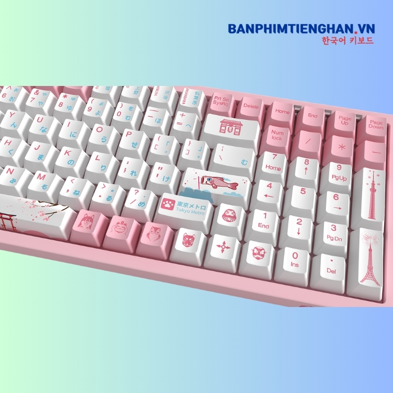 Bàn phím cơ tiếng Nhật có dây 3096 World Tour Tokyo R2