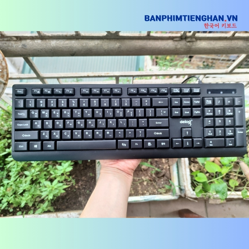 Bàn phím tiếng Hàn có dây TCKB Deiog 803S