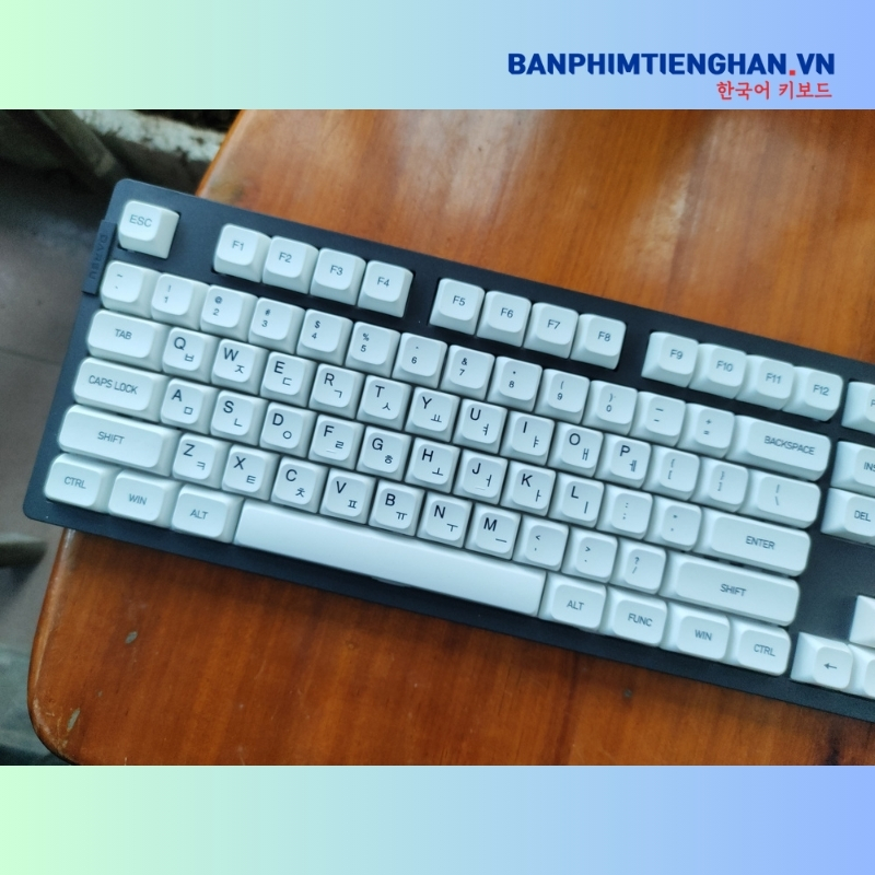 Bàn phím cơ tiếng Hàn không dây TCKB-EK106 Pro Black White