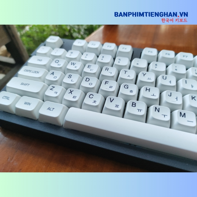 Bàn phím cơ tiếng Hàn không dây TCKB-EK106 Pro Black White