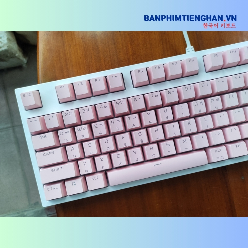 Bàn phím cơ tiếng Hàn có dây TCKB-MK104 Pro Pink White