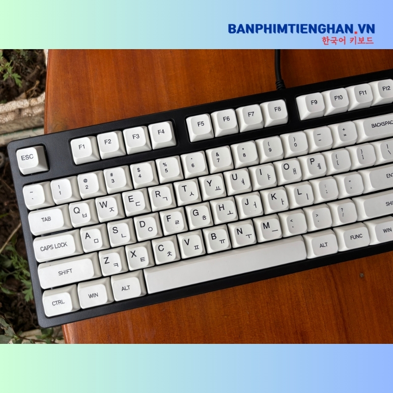 Bàn phím cơ tiếng Hàn có dây TCKB-EK316 Black White