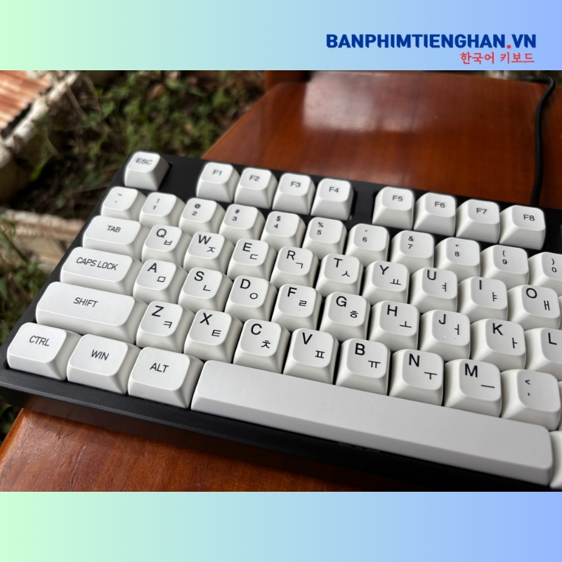 Bàn phím cơ tiếng Hàn có dây TCKB-EK316 Black White