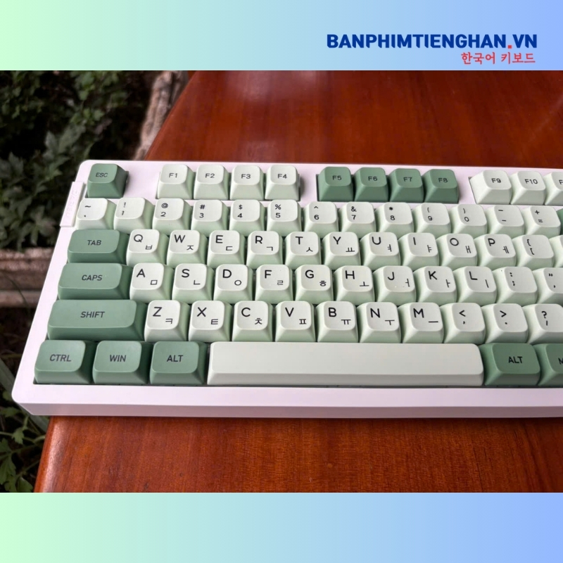 Bàn phím cơ tiếng Hàn không dây TCKB EK106 Pro Matcha White