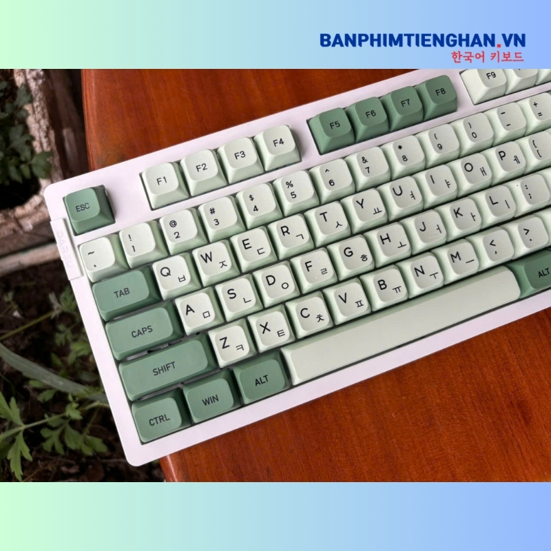 Bàn phím cơ tiếng Hàn không dây TCKB EK106 Pro Matcha White
