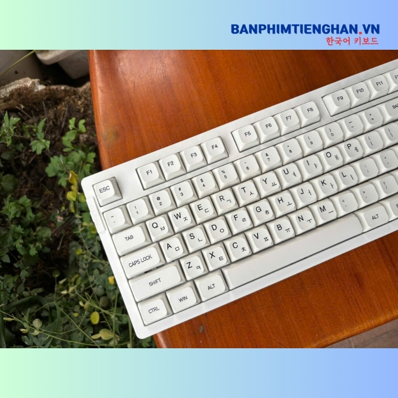 Bàn phím cơ tiếng Hàn không dây TCKB EK106 Pro White