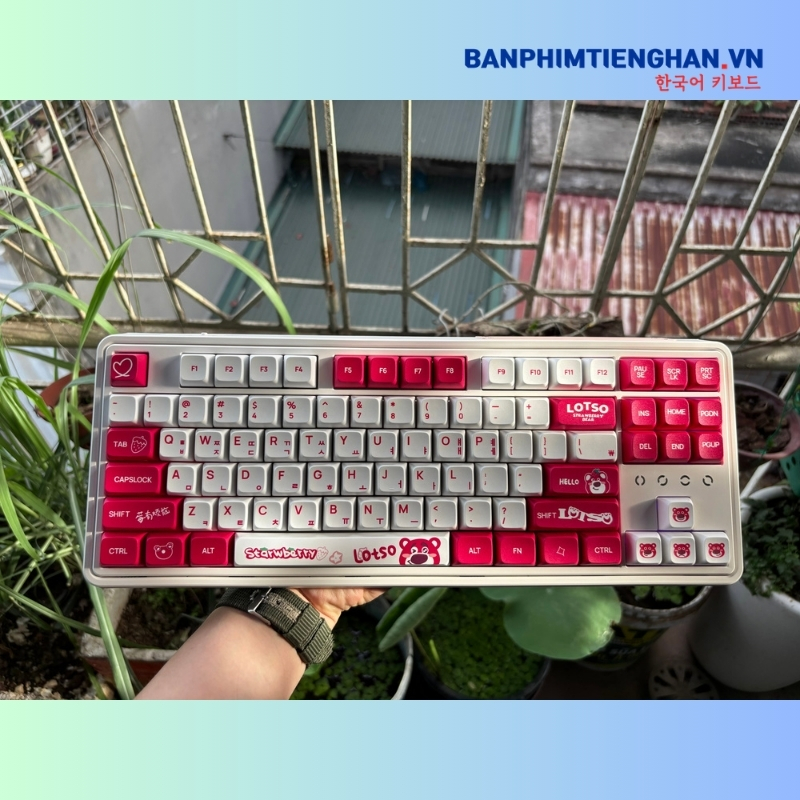 Bàn phím cơ tiếng Hàn không dây TCKB CMK87 Lotso White