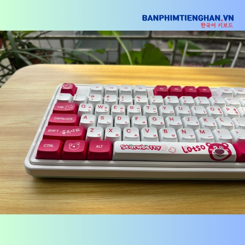 Bàn phím cơ tiếng Hàn không dây TCKB CMK87 Lotso White