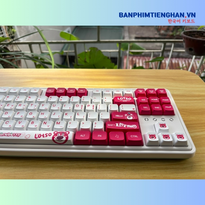 Bàn phím cơ tiếng Hàn không dây TCKB CMK87 Lotso White