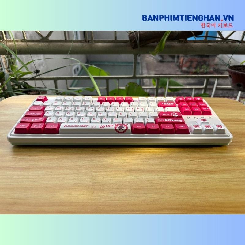 Bàn phím cơ tiếng Hàn không dây TCKB CMK87 Lotso White