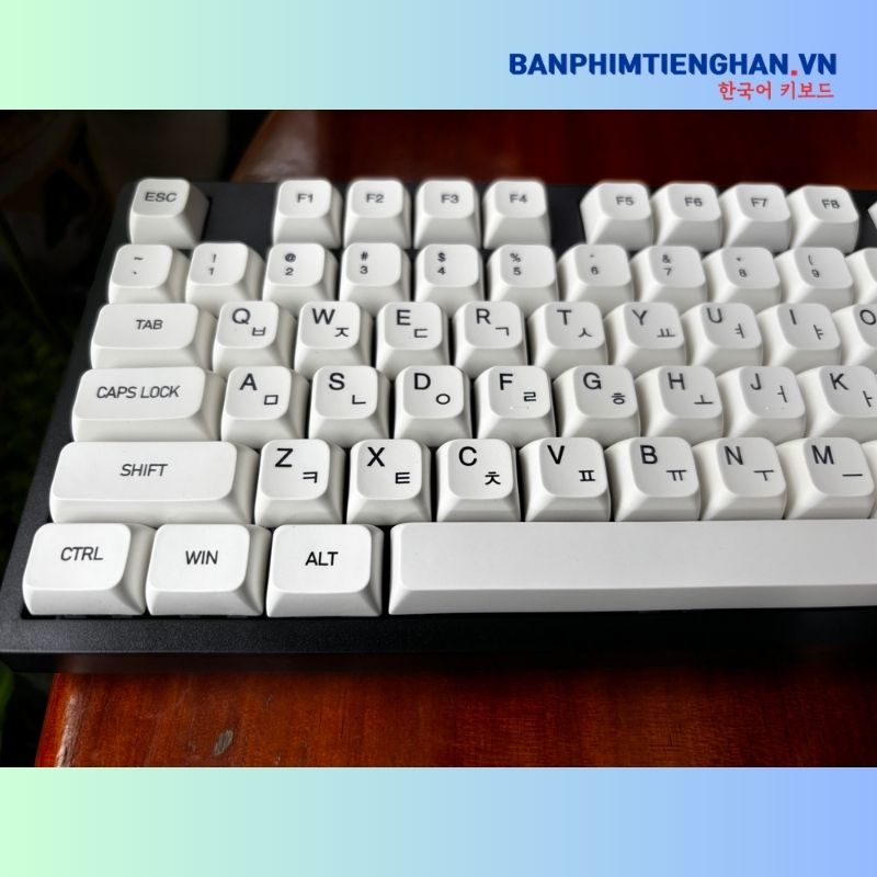 Bàn phím cơ tiếng Hàn có dây TCKB EK3104K White Black
