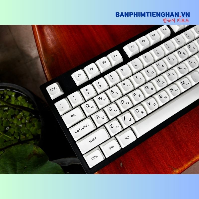 Bàn phím cơ tiếng Hàn có dây TCKB EK3104K White Black