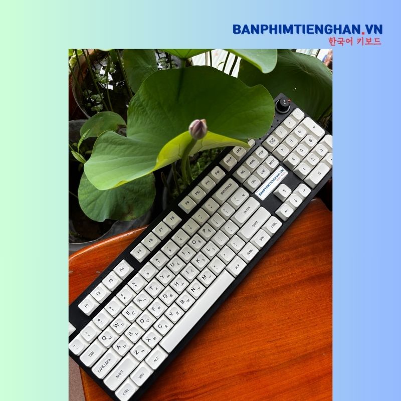 Bàn phím cơ tiếng Hàn có dây TCKB EK3104K White Black
