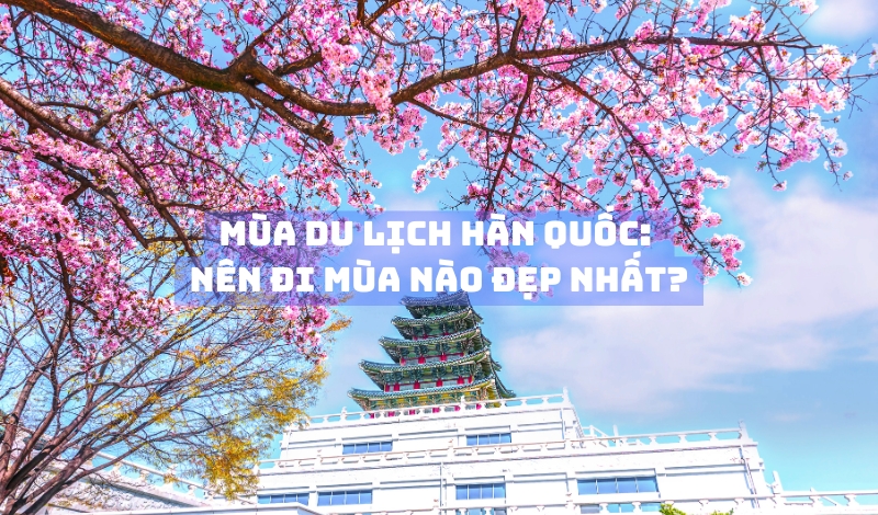 Mùa du lịch Hàn Quốc: nên đi mùa nào đẹp nhất?